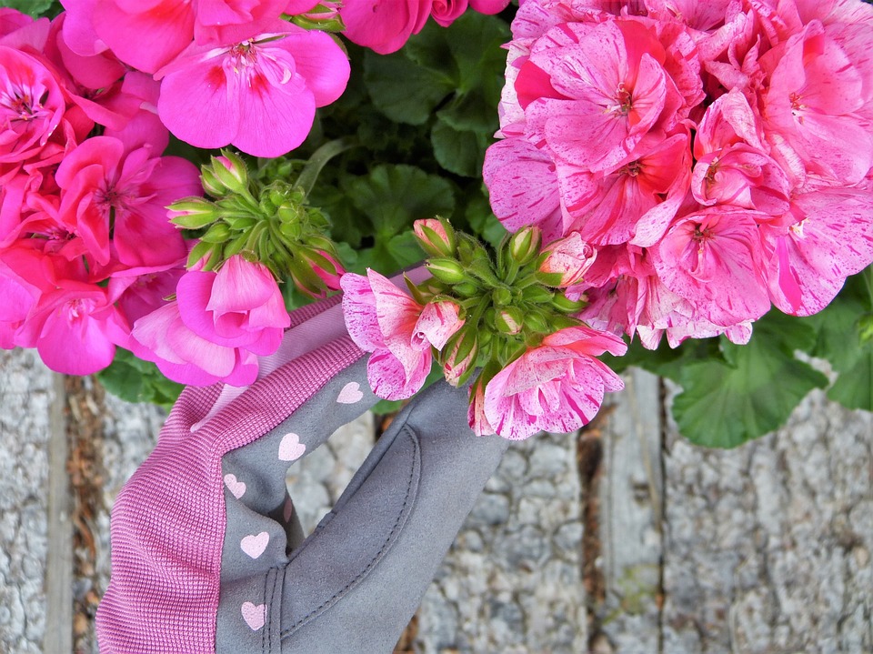 Garden Pink Flower Care Geranium Blossom Gloves